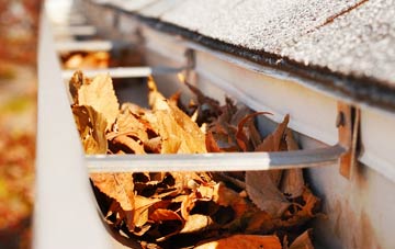 Inskip Moss Side gutter cleaning companies