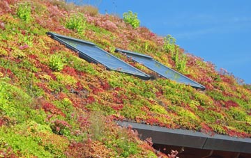 Inskip Moss Side living roof systems