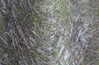 Inskip Moss Side fibreglass roof work